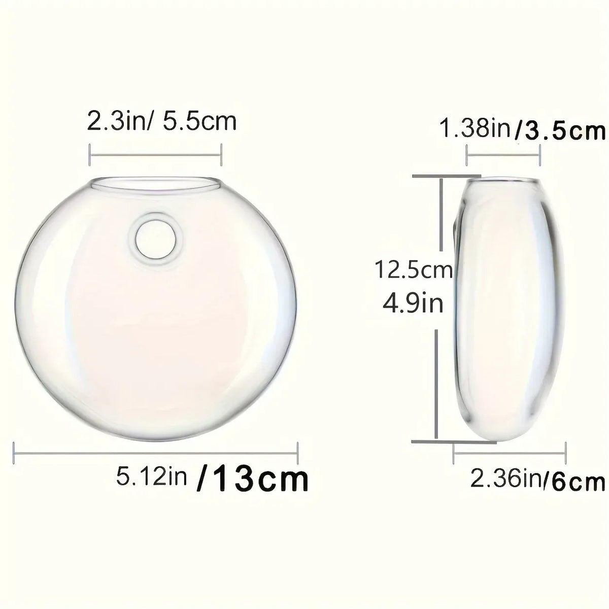 Floreva Wall Hanging Glass Terrarium