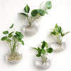 Floreva Wall Hanging Glass Terrarium