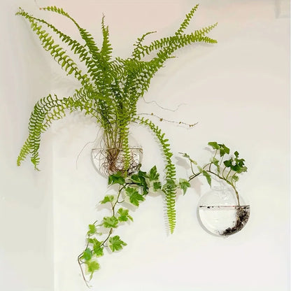 Floreva Wall Hanging Glass Terrarium