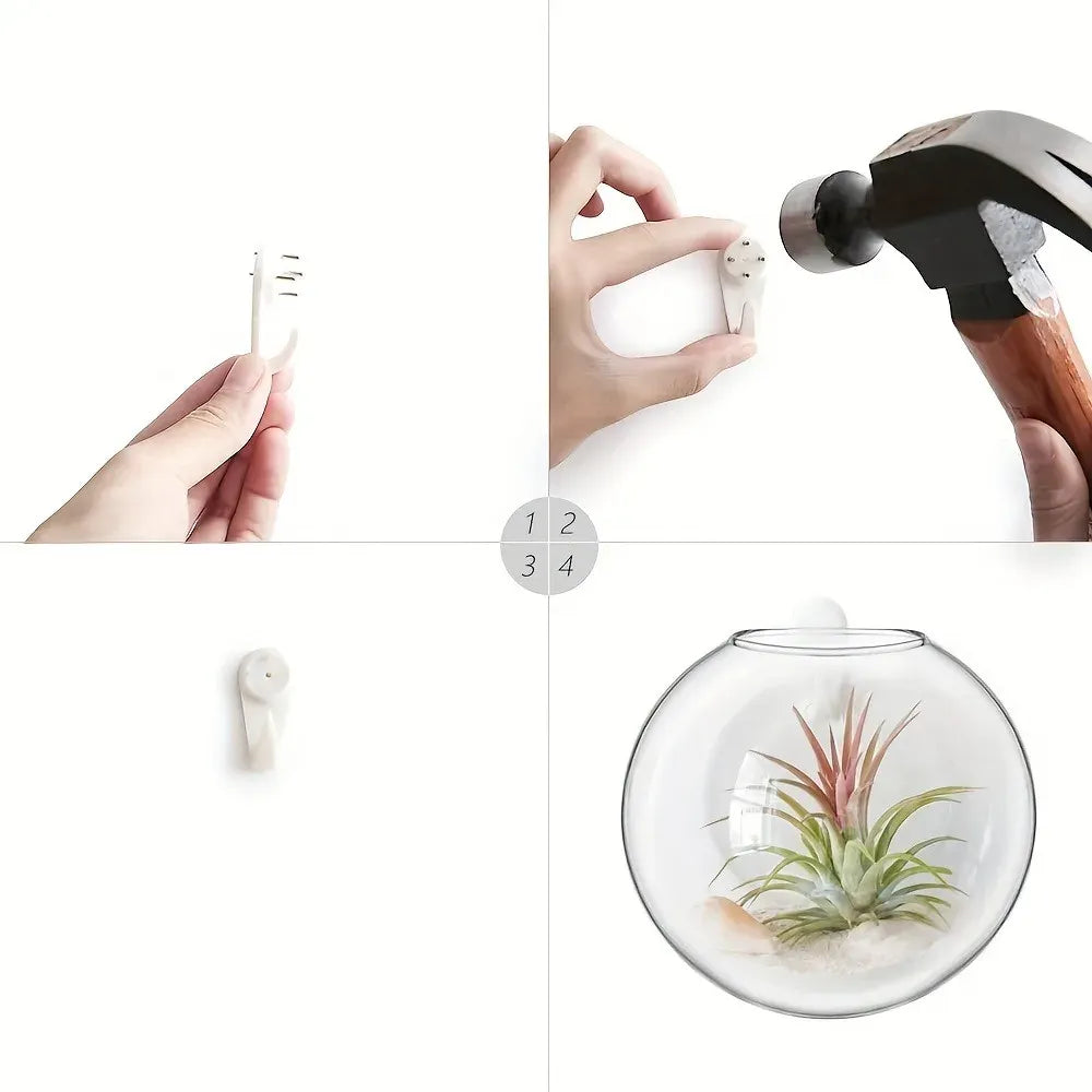 Floreva Wall Hanging Glass Terrarium