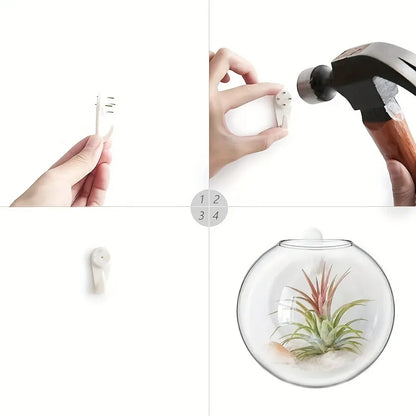 Floreva Wall Hanging Glass Terrarium