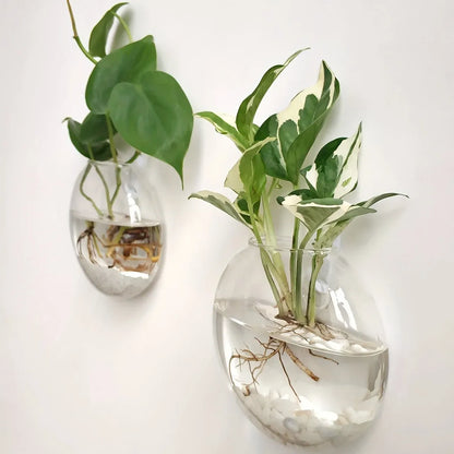 Floreva Wall Hanging Glass Terrarium