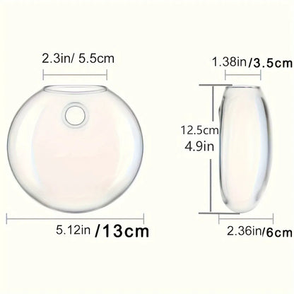 Floreva Wall Hanging Glass Terrarium